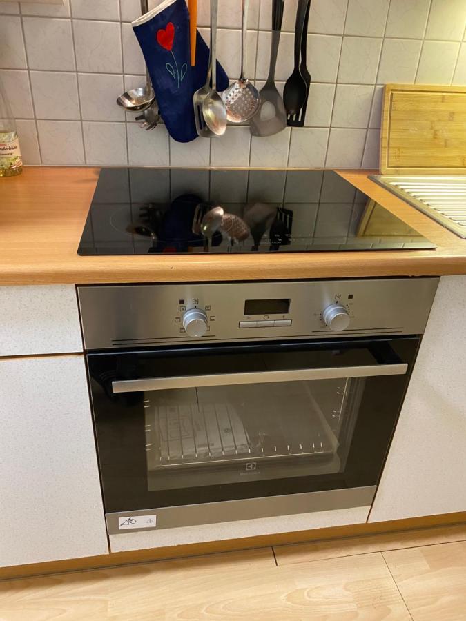 Dachsteinblick Apartment رامساو أم داتشستين المظهر الخارجي الصورة