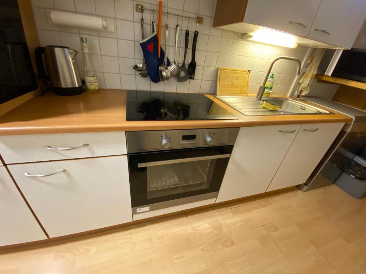 Dachsteinblick Apartment رامساو أم داتشستين المظهر الخارجي الصورة