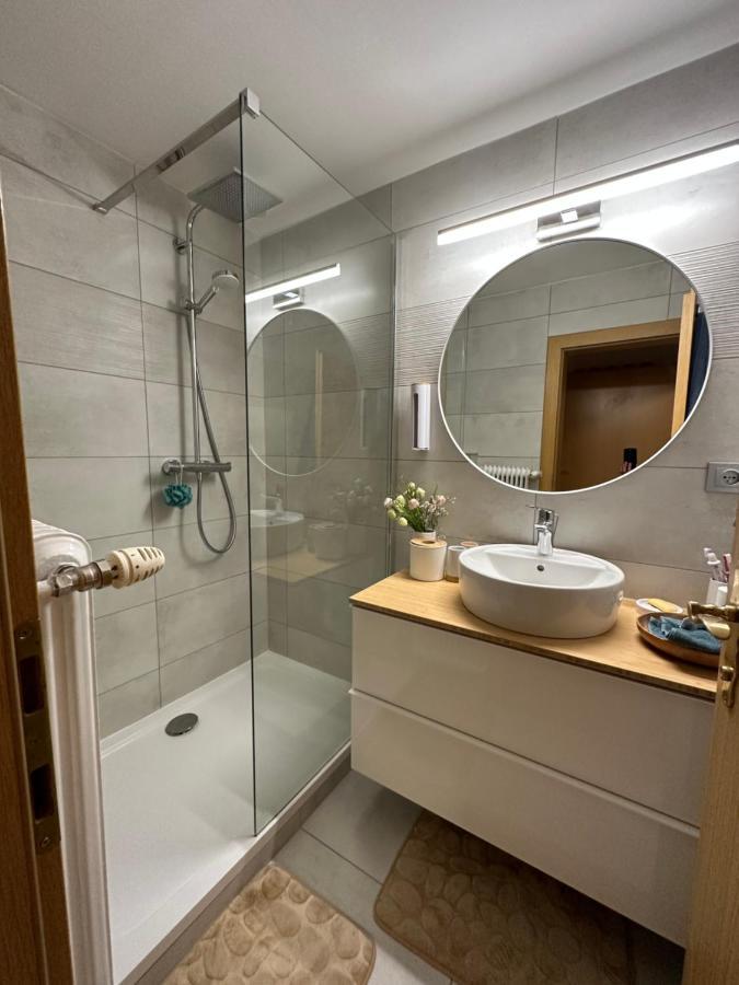 Dachsteinblick Apartment رامساو أم داتشستين المظهر الخارجي الصورة