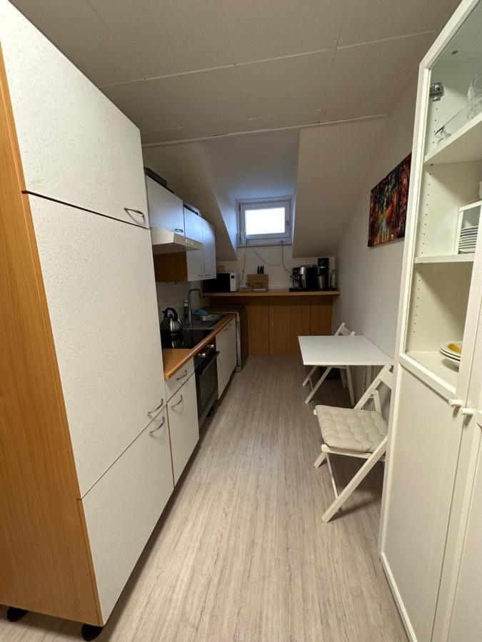 Dachsteinblick Apartment رامساو أم داتشستين المظهر الخارجي الصورة